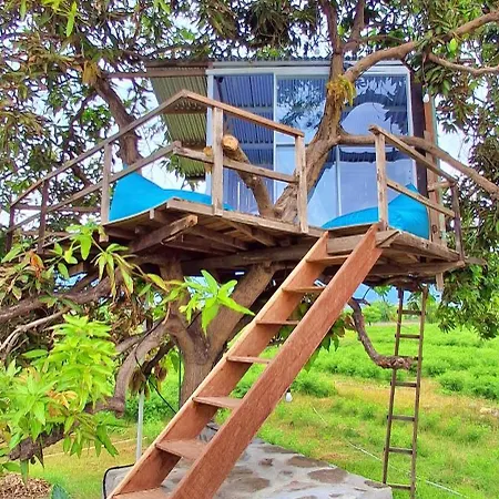 Hotel A Mango Tree House With A Private Swimming Pool